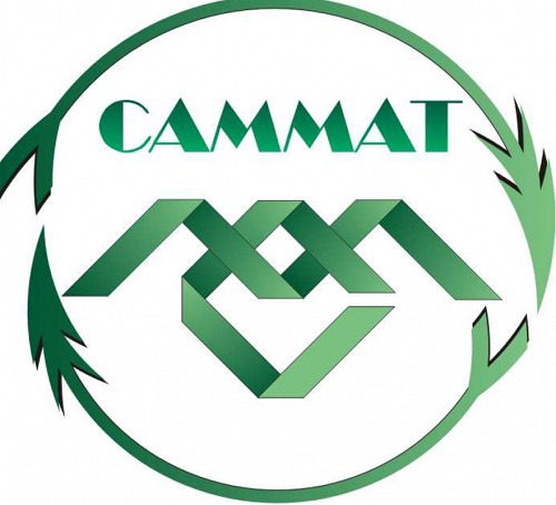 Заключительный этап самарской математической олимпиады «САММАТ»