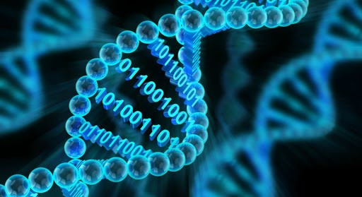 В УГАТУ открыто новое направление «Алгоритмическая биоинформатика»
