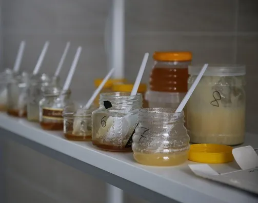 Экспертов сенсорного анализа меда готовят в Институте природы и человека
