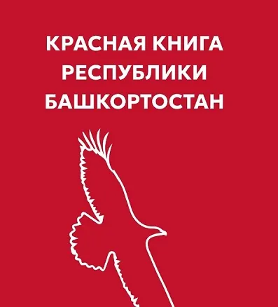 Зоологи УУНиТ подготовили к изданию Красную книгу Башкортостана с новыми открытиями