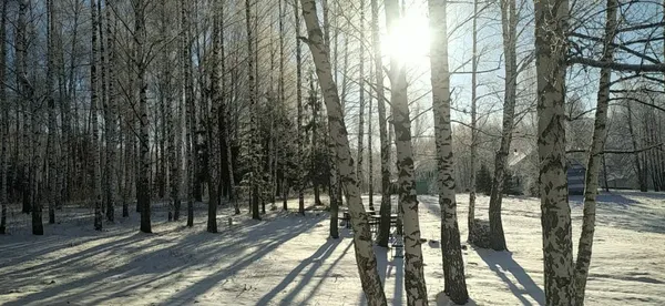 УУНиТ приглашает на зимний отдых в СОЦ «Авиатор» на Павловском водохранилище