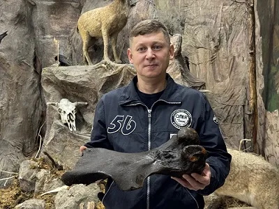 УУНиТ получил необычный подарок к своему дню рождения – кости мамонта и бедро шерстистого носорога