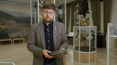 В Уфимском университете исследуют проблему появления красноухих черепах в озерах города