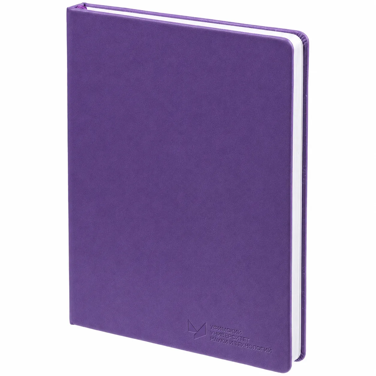 shop/stationery/notebooks/3bb9b3.png