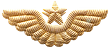 УУНиТ Военный учебный центр