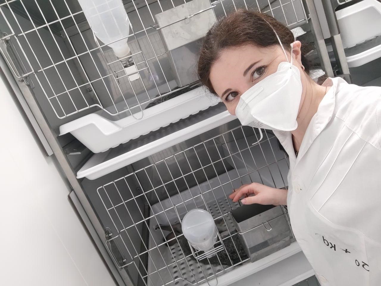 Молодой ученый МиФМ создает биорастворимые имплантаты в лаборатории Межвузовского кампуса