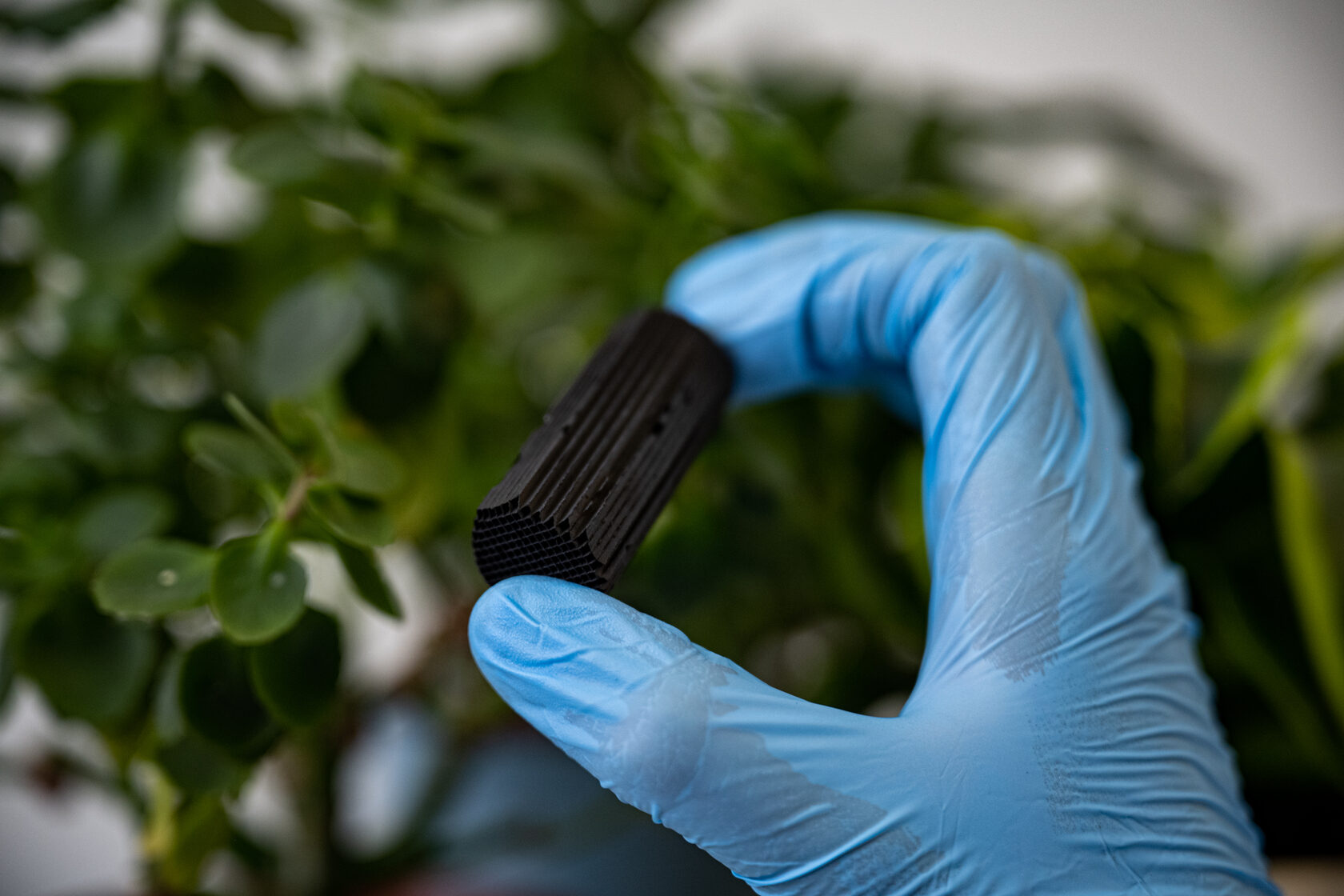 Наука в действии